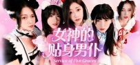 《女神的贴身男仆》